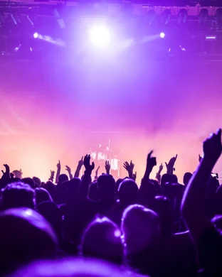 Blues Traveler & Gin Blossoms
