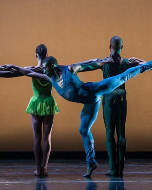 National Choreographers Initiative